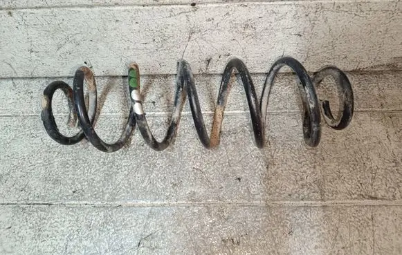 Rear coil spring