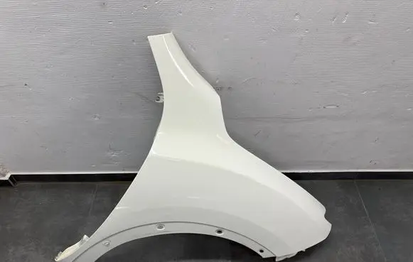 Nissan Juke I F15 Fender 