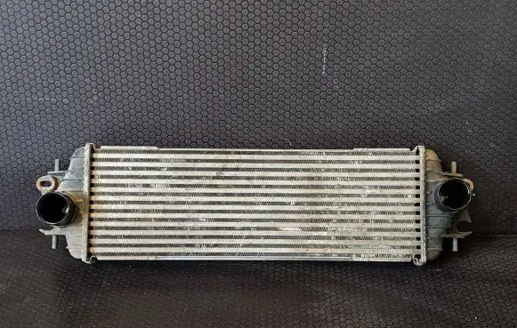 Renault Trafic II (X83) Intercooler radiator