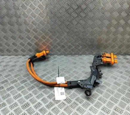 Skoda Enyaq iV Other wiring loom 1EA971015AA