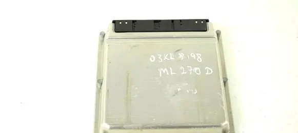 Engine control unit/module ECU