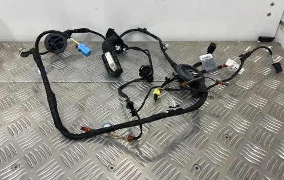 Audi Q5 SQ5 Front door wiring loom 80A971029E