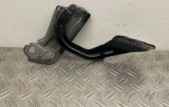 Ford Escape III Engine bonnet/hood hinges GJ54A16801AA