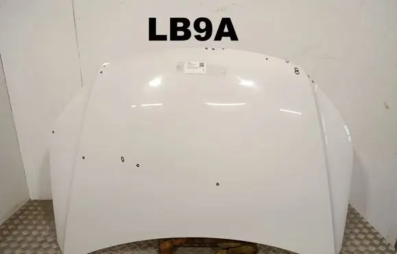 Volkswagen Tiguan Engine bonnet/hood LB9A