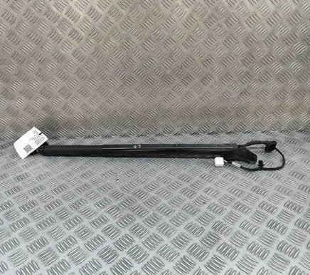 Fisker Ocean Tailgate/trunk strut/damper FM2955210009A