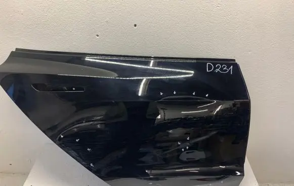 Tesla Model 3 Rear door