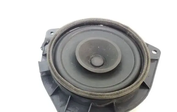 Rear door speaker