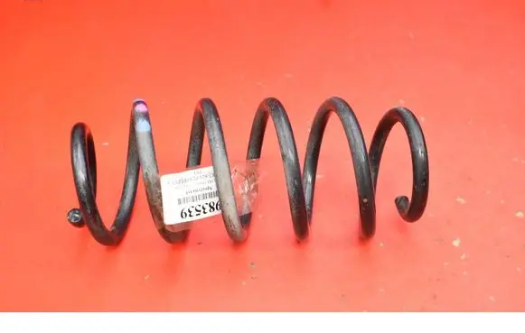 Rear coil spring