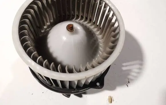 Hyundai Santa Fe Heater fan/blower f00s33f011
