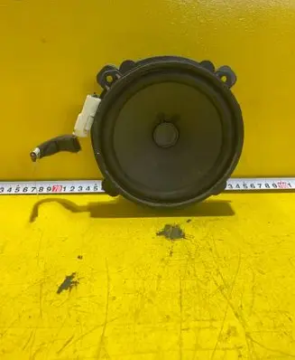 Front door speaker