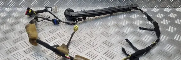 Fiat Doblo Front door wiring loom 46819656