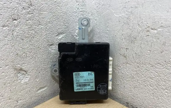 KIA Sorento Other control units/modules 954003E310 10R021806 S428500259