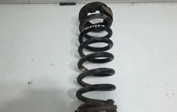 Land Rover Discovery Sport Rear coil spring FK725B749GB