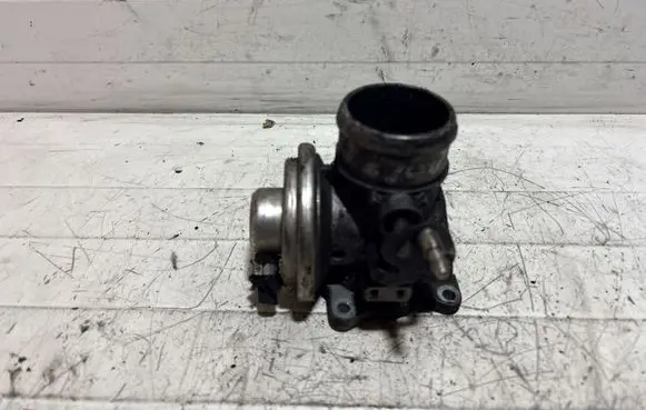 Volkswagen PASSAT B5 EGR valve 038131501E