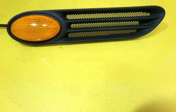 Front fender indicator light