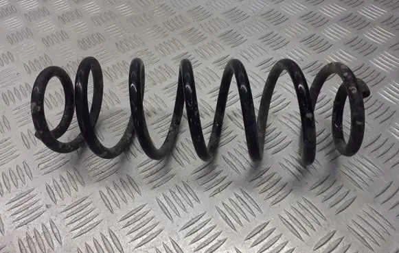 Seat Toledo II (1M) Rear coil spring