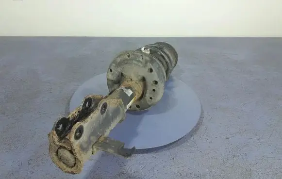 Opel Insignia A Front shock absorber/damper 13245973