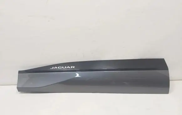 Jaguar I-Pace Front door trim (molding) J9D321065A