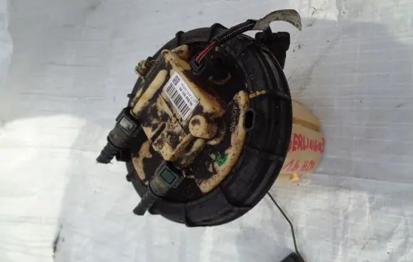 Citroen Berlingo In-tank fuel pump