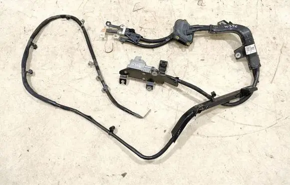 Other wiring loom