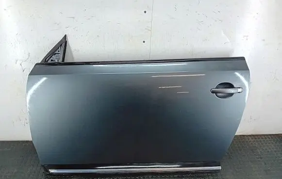 Volkswagen Beetle A5 Front door LD7X