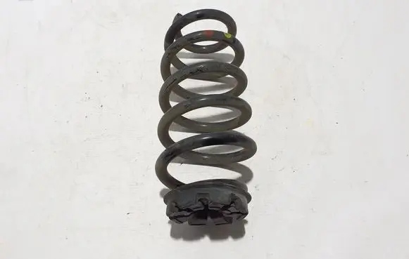 Rear coil spring