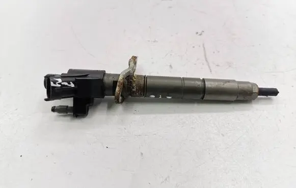 Volvo V60 Fuel injector 313032381362 0445116046