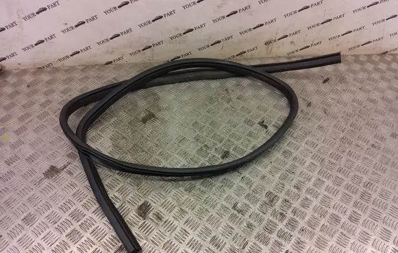 Ford Kuga II Front door rubber seal 