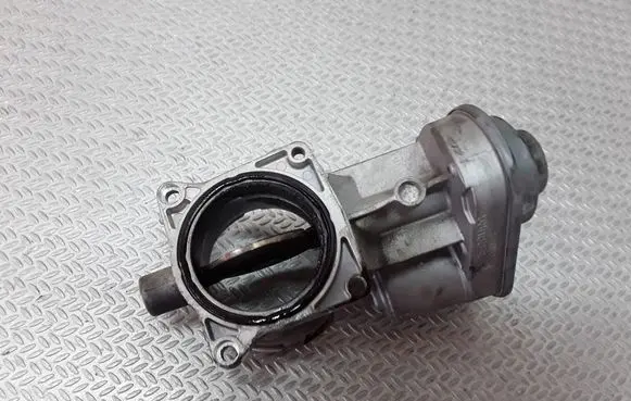 Volkswagen Phaeton Throttle valve 07Z128069A