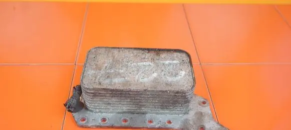 Nissan Qashqai Engine oil radiator 70375890 R9M405