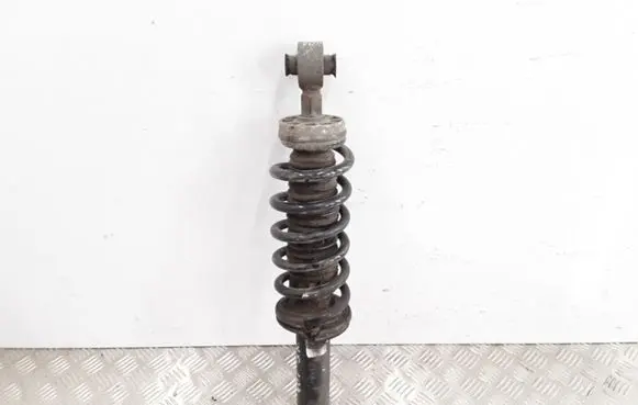 Peugeot 407 Rear shock absorber with coil spring 
