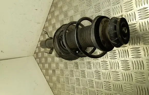 Renault Clio V Front shock absorber with coil spring 543026519R