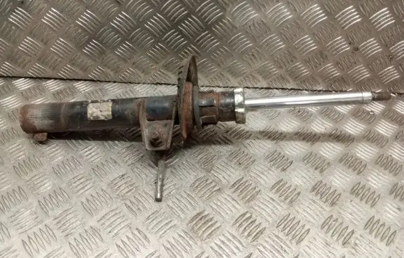 Volkswagen Golf V Front shock absorber/damper