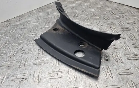 Rear/tail light trim molding