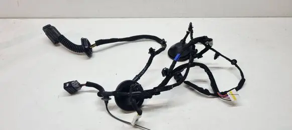 KIA Niro Rear door wiring loom 91620AT100