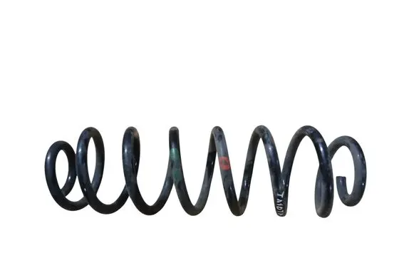 Rear coil spring