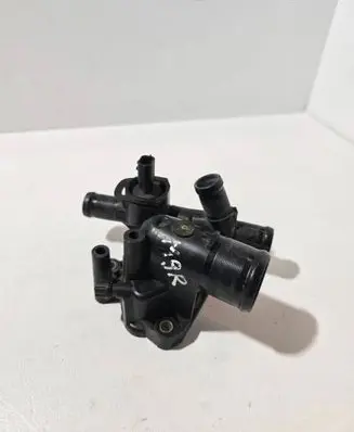Thermostat/thermostat housing