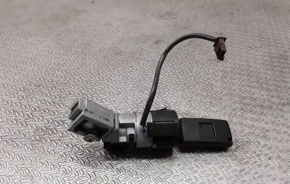 Citroen C4 I Picasso Ignition lock 9663123380