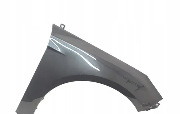 Ford Focus Fender