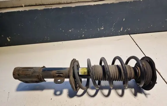 Chevrolet Captiva Front shock absorber with coil spring SA010B004 95166267