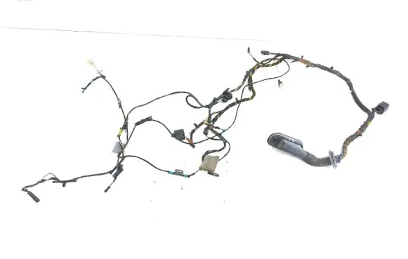 BMW X6 E71 Front door wiring loom 9242072 924207201