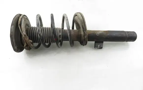 Peugeot 206 Front shock absorber with coil spring 