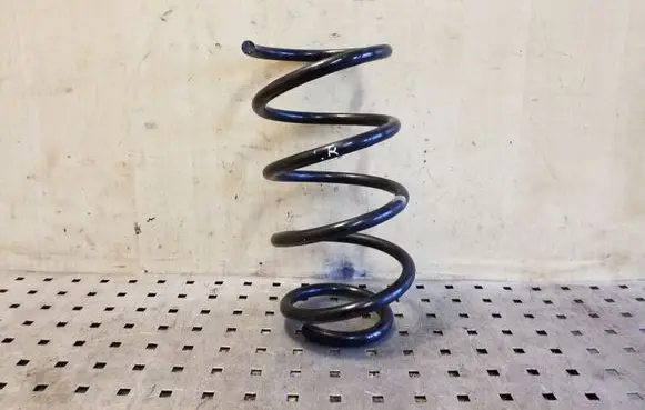 Front coil spring
