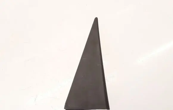 Opel Antara Rear door glass trim molding 96630814
