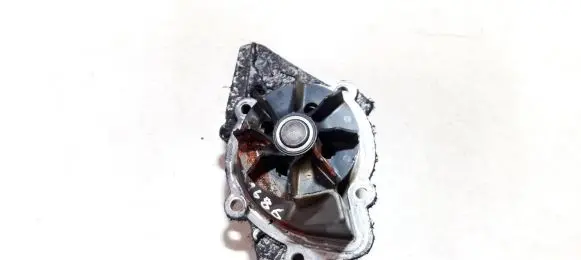 Citroen Berlingo Water pump