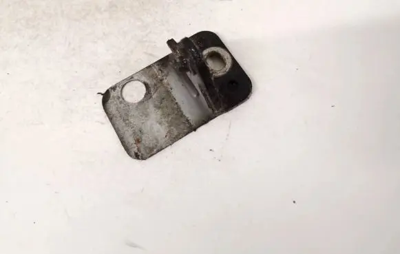 Rear door lower hinge