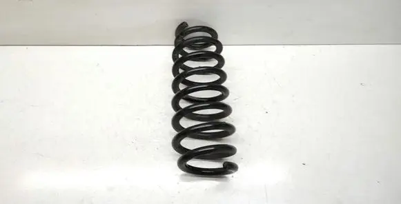 Rear coil spring