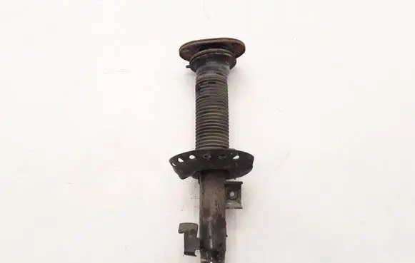 Volvo V70 Front shock absorber/damper 31317809