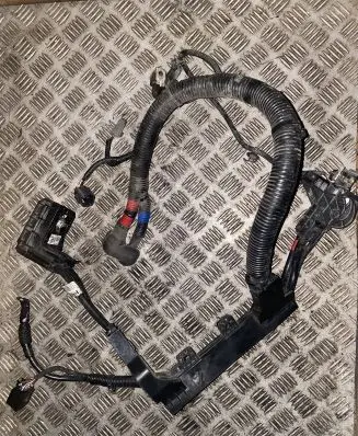 Hyundai Tucson TL Wires (generator/alternator) 91855F1460