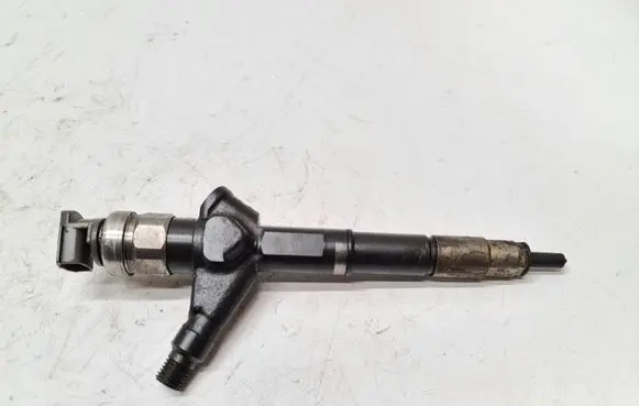 Nissan Pathfinder R51 Fuel injector 16600EB300